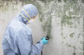 Reliable Harrah, OK Mold Inspection Solutions